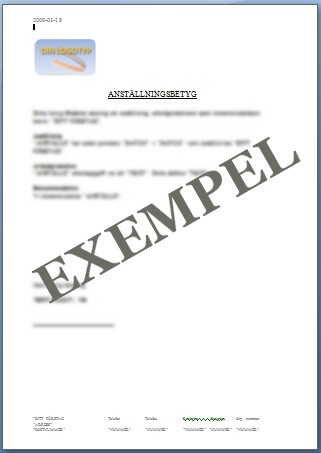 Anställningsbetyg (alla typer) VVS